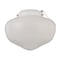 Westinghouse Westinghouse Semi-Gloss White Schoolhouse Ceiling Fan Light Kit 77853 - alternate 2